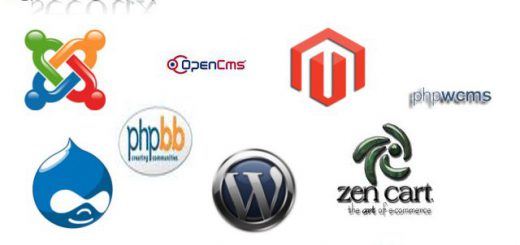 "Seeoux e i CMS: Joomla, Wordpress, Drupal, PhPwcms"